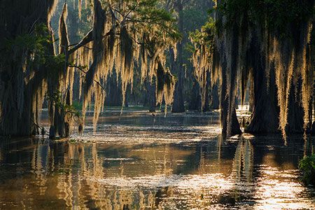 Pros and cons of the Bayou Bridge pipeline