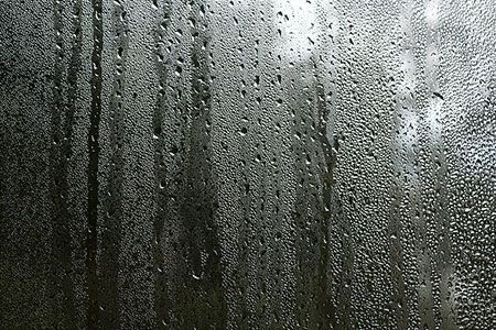 Transneft system suspended following surplus moisture content level
