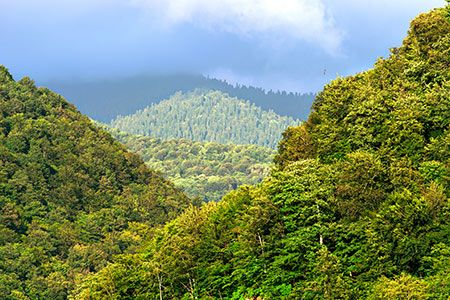 TC Energy to host inaugural ESG Forum